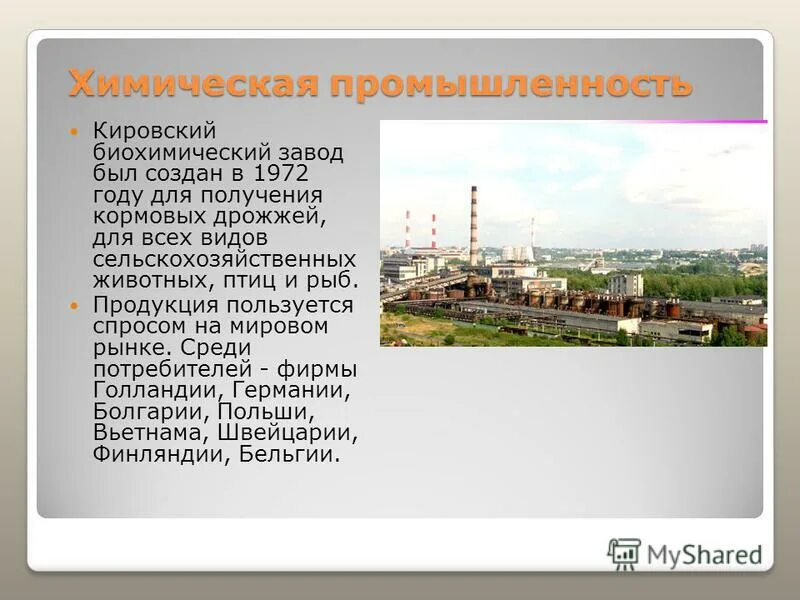 Проект экономика родного края самара. Сообщение о предприятии города. Экономика промышленности самара. Химическая и нефтехимическая промышленность а ставрополье. Проект экономика родного города 3 класс окружающий мир.