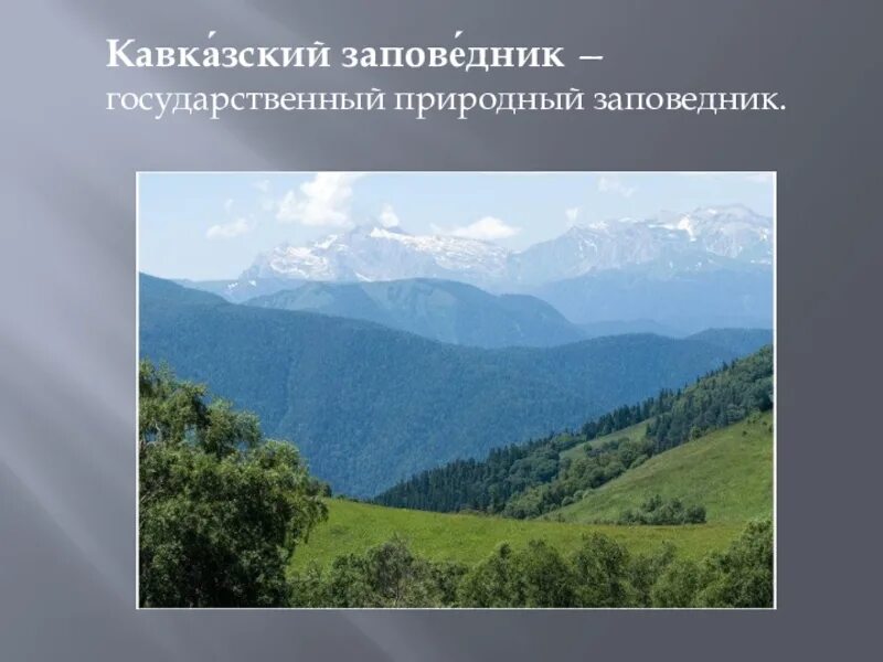 Заповедники российского Кавказа. Всемирное наследие России. Кавказский заповедник проект. Природное наследие России.