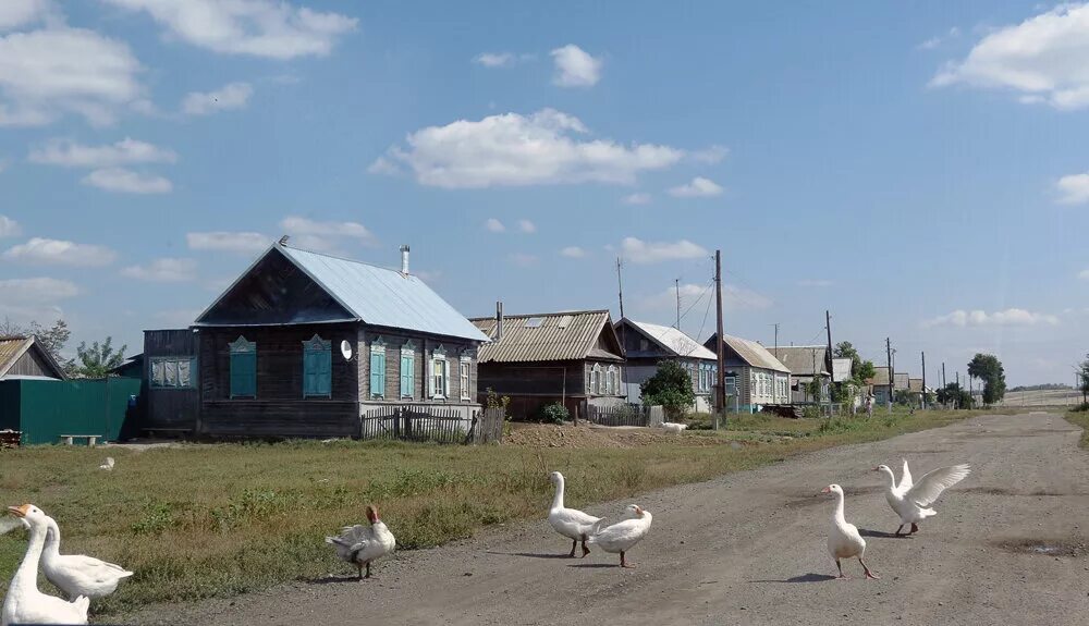 Поповка саратовская область саратовский район. Поповка Хвалынский район. Поповка Хвалынский район Саратовская область. Село Поповка Саратовская область. Село Селитьба Хвалынский район.