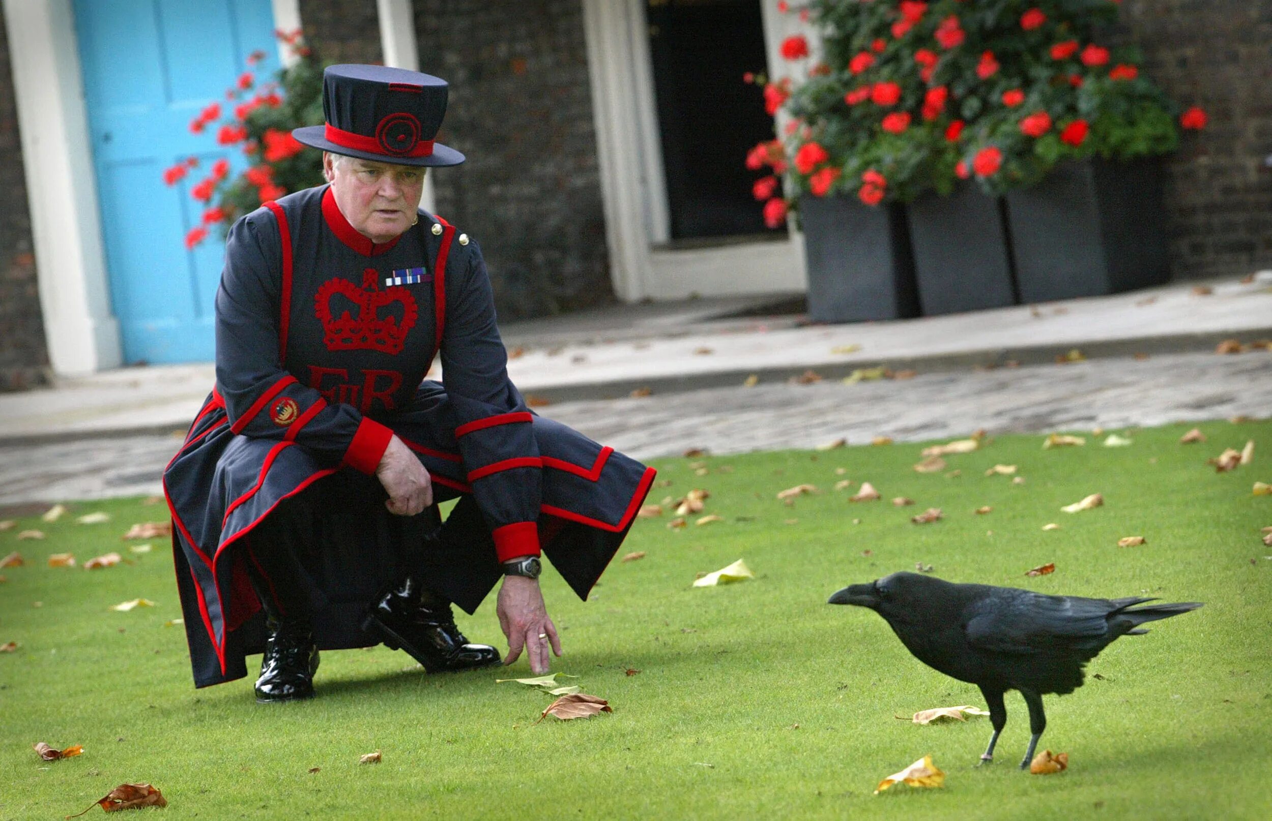 The ravens are the unique. Тауэр, вороны, бифитэры. Вороны Тауэра в Лондоне. Бифитеры и вороны Тауэра. Лондонский Тауэр 6 Воронов.