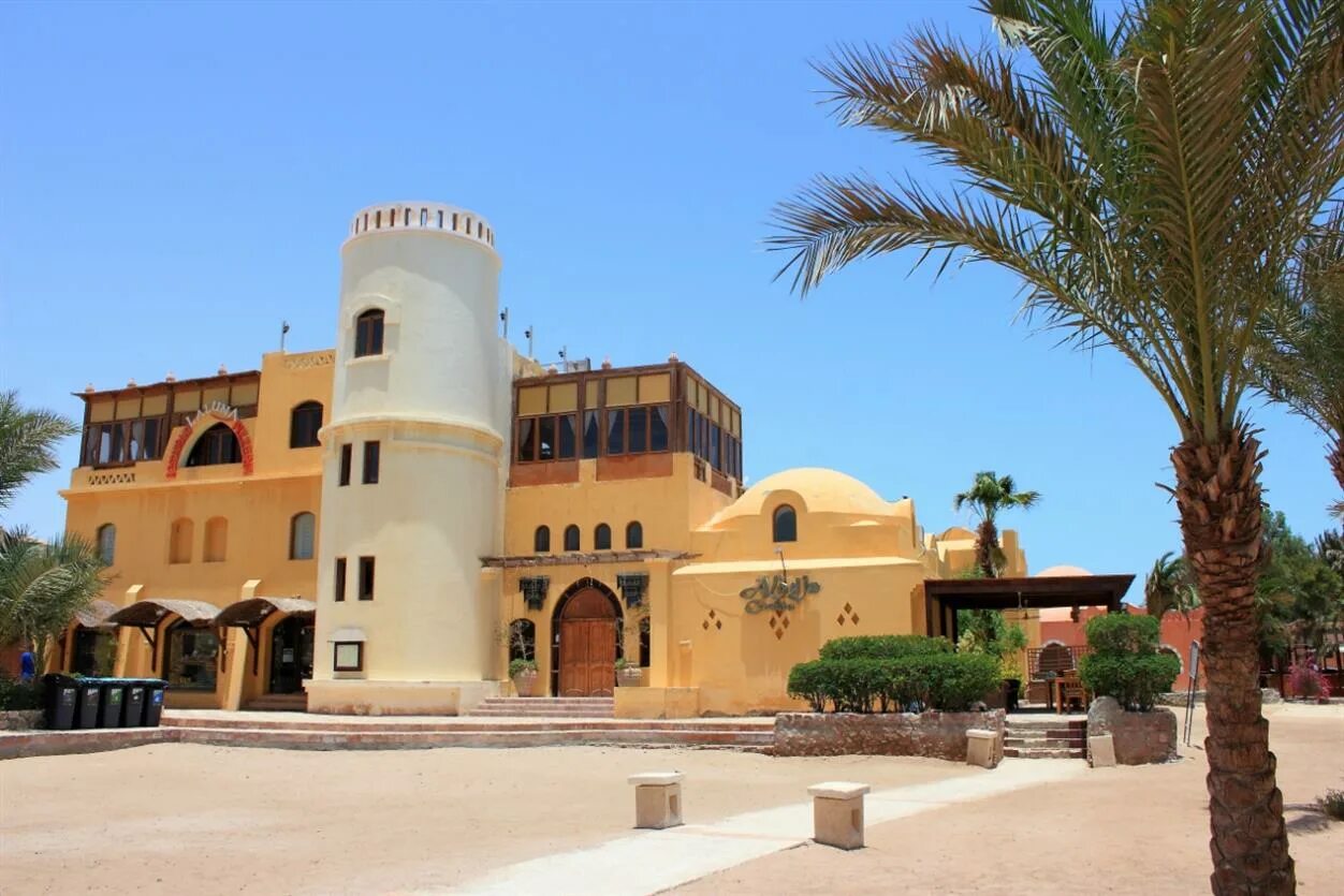 Деревья сирии в провинции даръа фото. Кафр. Эль гуна хургада. Керамика клеопатра фк. Аль кафр.