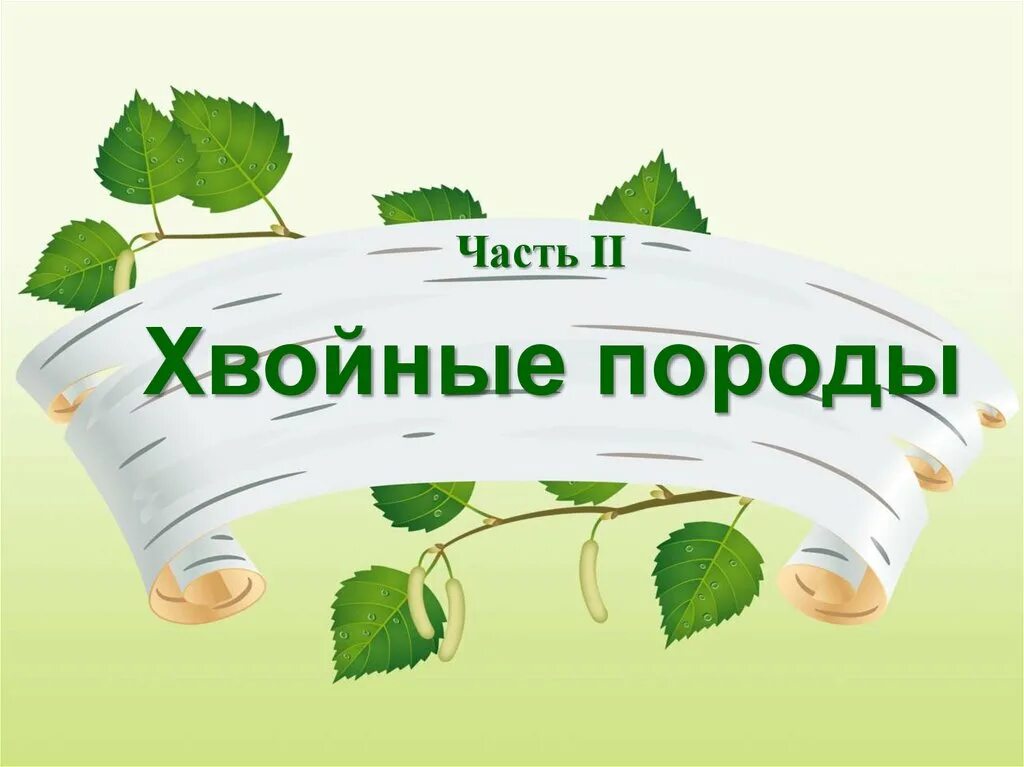 Спасибо благодарю за работу. Спасибо за работу. благодарю за работу. надпись спасибо за работу. изображение спасибо за работу.