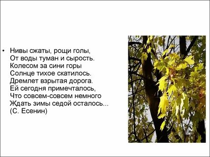 Сжаты нивы солнце скатилось колесом
