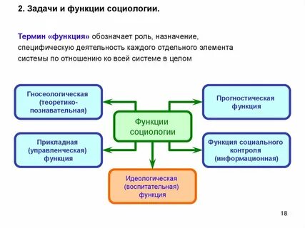 Пример критической функции социологии