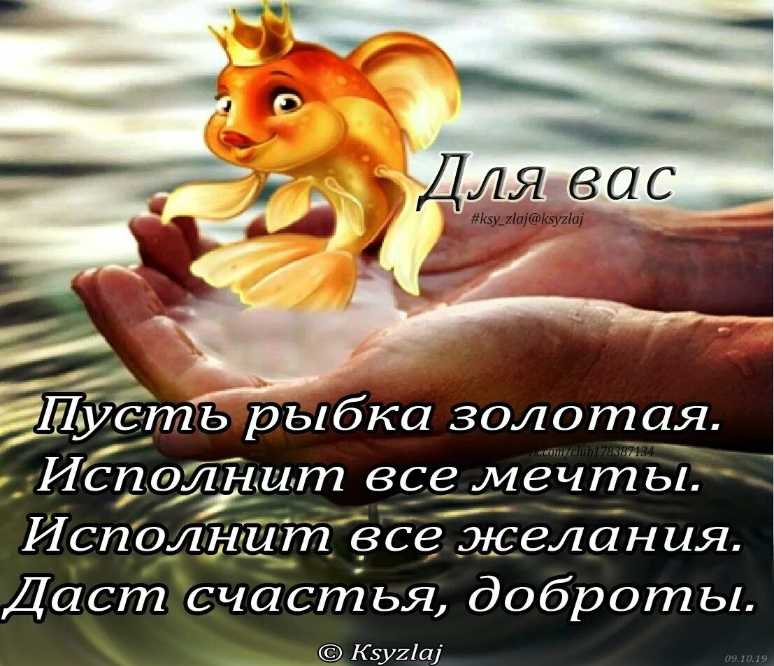 Песня исполню твои желания. Золотая рыбка. золотая рыбка исполняет желания. открытка с золотой рыбкой. золотая рыбка исполнит.