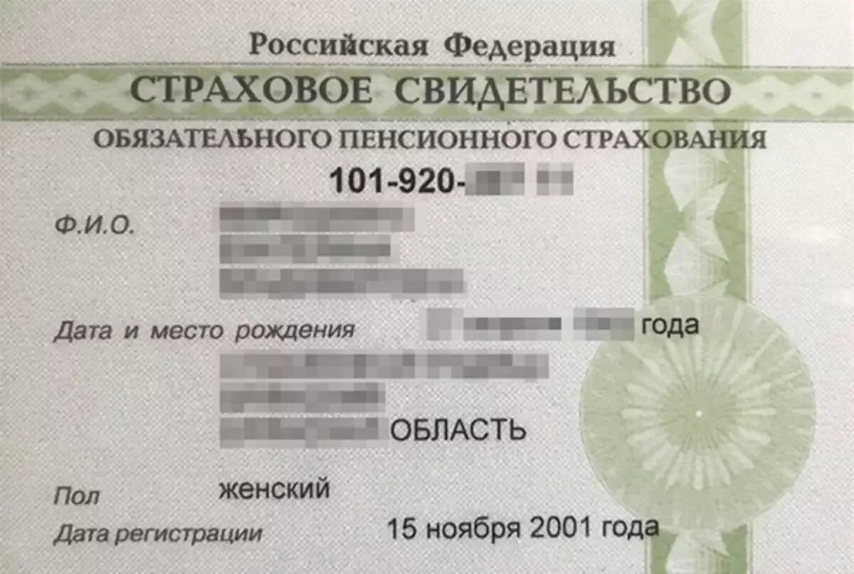Где иностранцу получить снилс. Снилс. страховой номер снилс. снилс зеленая карточка. снилс для иностранных граждан.