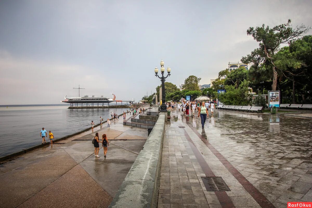 Ялта осадки. Крым ялта дождь. дождливая ялта. красивое место в ялте в дождь. ялтинский порт в дождь.
