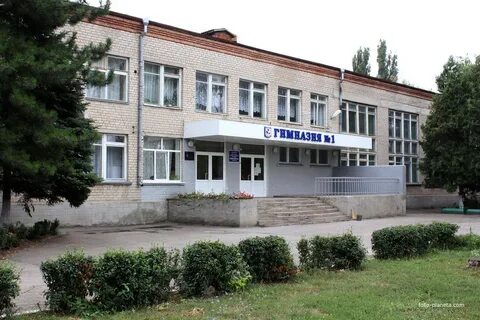 Гимназия г зерноград
