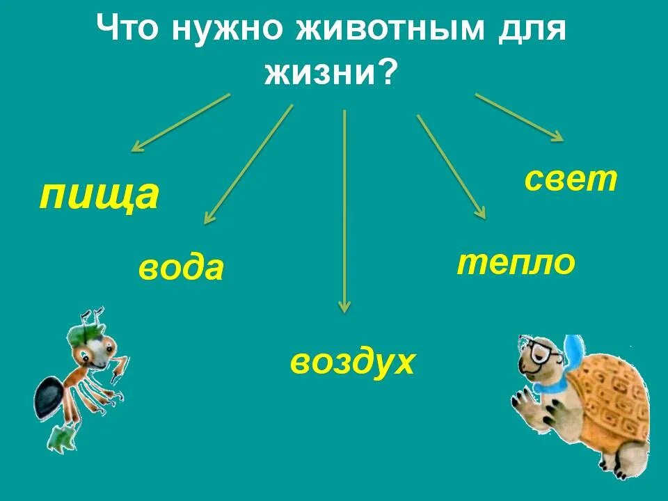 Окружающий мир первый класс как живут животные. Как живут животные. что нужно животным для жизни. условия необходимые для жизни животных. животным для жизни необходимы.