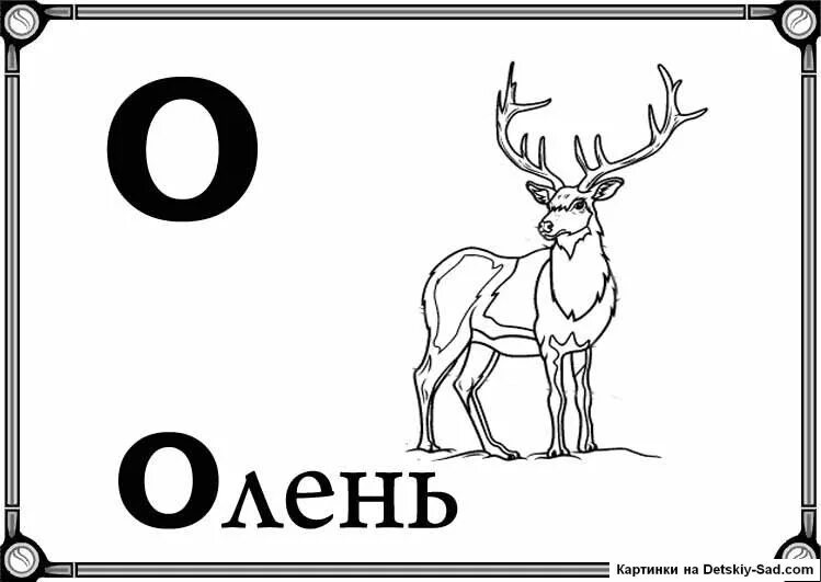 Буква а картинка. Слова на букву а раскраска. Карточки с буквами и картинками. Азбука. Буквы. Слово из пяти букв ос