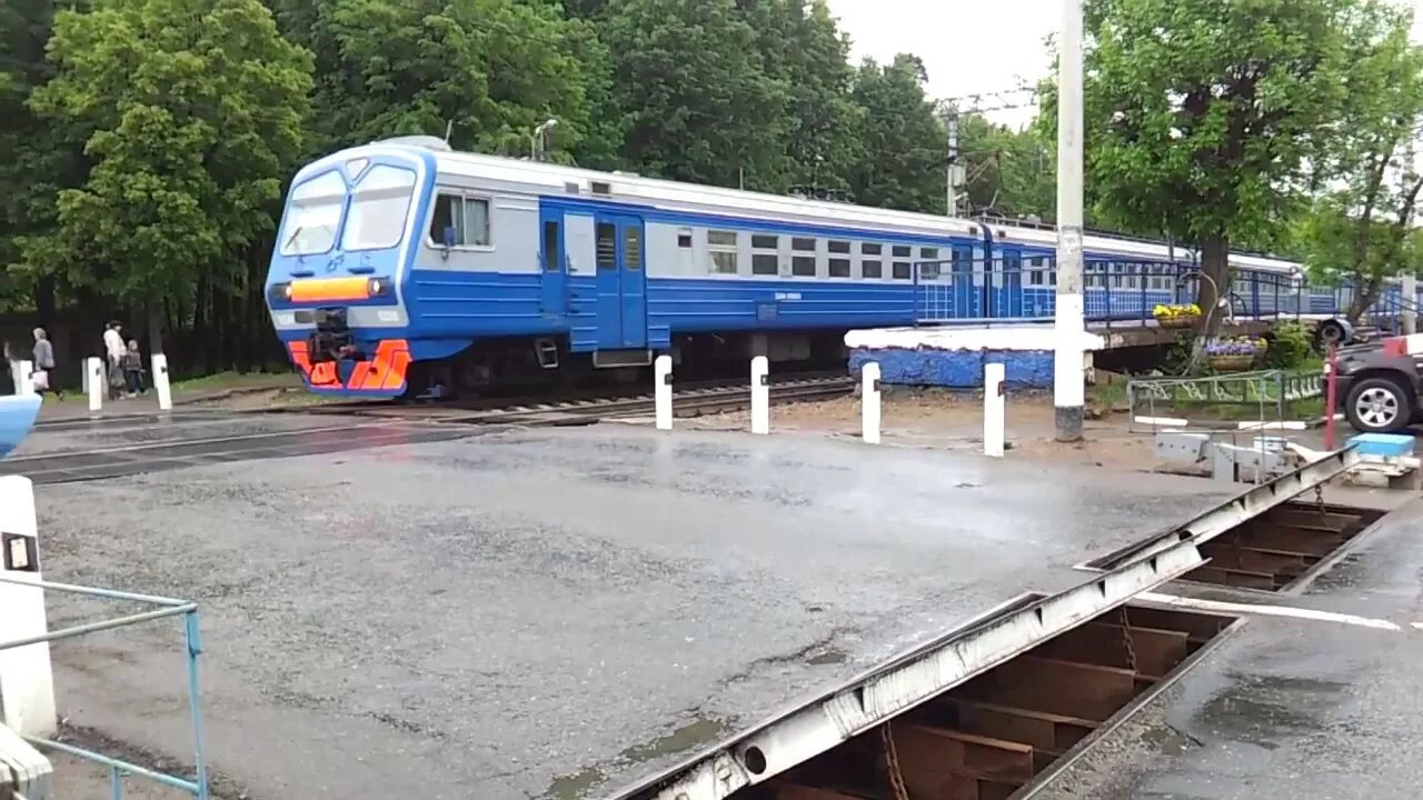 Депо крюково рестораны. Заветы зеленоградская электрички. Ласточка цппк. Заветы зеленоградская электрички. Зеленоград электричка.