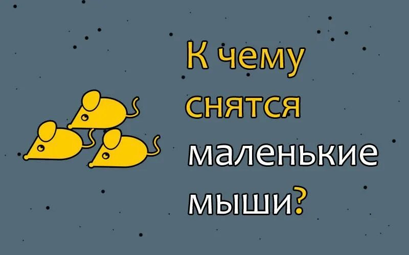 Сонник приснились мыши. К чему снятся мыши. к чему снятся мыши во сне. к чему снятся маленькие мышки. к чему снится мышка маленькая.