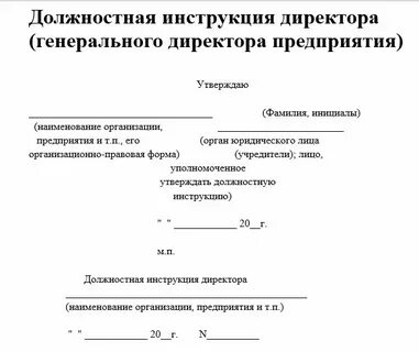 Должностная инструкция главы муниципального образования