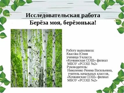 18 берез слова