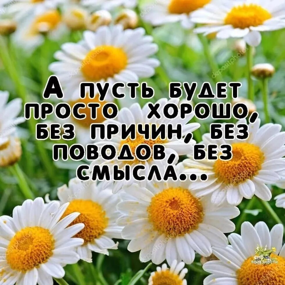 Доброго утра позитивные картинки со смыслом. Позитивные пожелания на каждый. Доброе утро цитаты. Позитивные цитаты на каждый день. Пусть все будет хорошо.