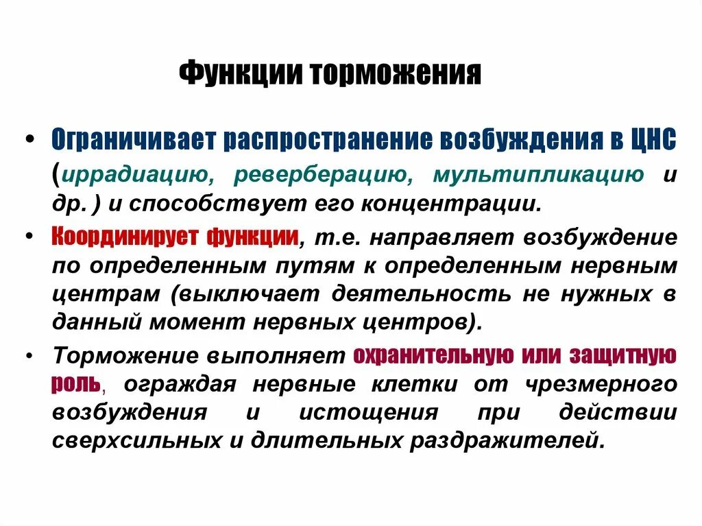 Функции торможения. Процесс торможения в ЦНС. Роль процесса торможения в ЦНС. Функции торможения в ЦНС физиология.