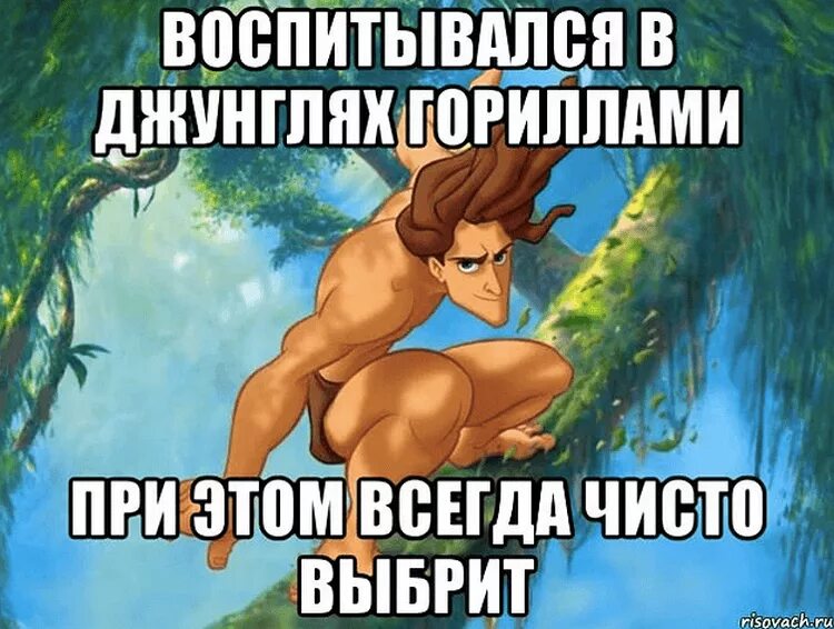 Логика в мультиках. Логика в мультфильмах. логика в мультиках с надписями. картинки из мультиков без логики. логика в мультфильмах мемы.