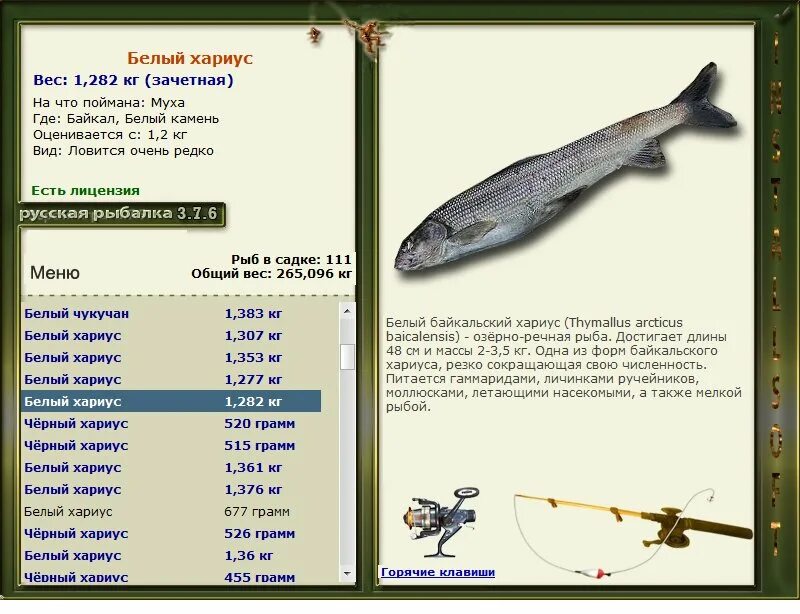 Сколько весит хариус длиной 37 сантиметров. Русская рыбалка 376