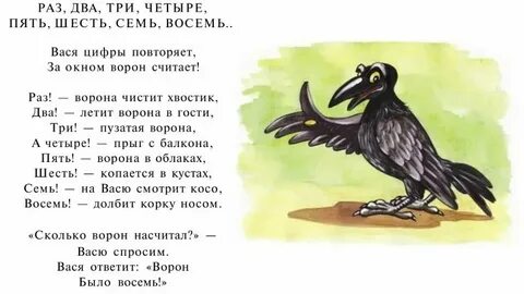 Однажды я дал ворону печенье