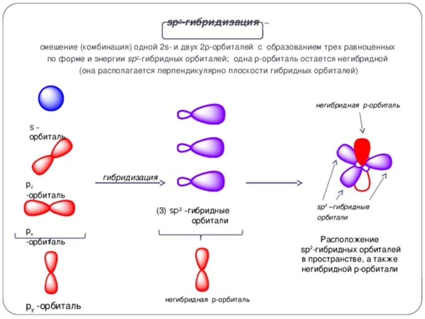 Sp2 гибридные орбитали кислорода. SP гибридные орбитали. Sp2 гибридизация атома углерода. Формы орбиталей sp2. Особенность гибридизации