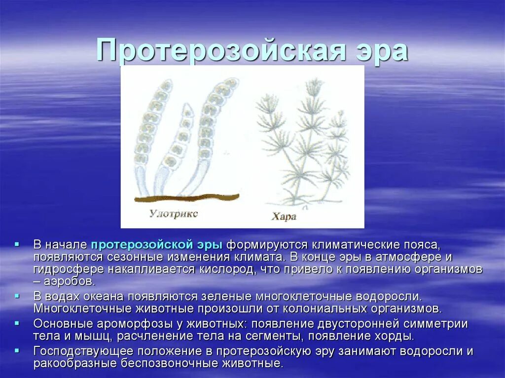 Появление водорослей эра. Водоросли протерозойской эры. Протерозойская Эра. Зелёные водоросли протерозойская Эра. Многоклеточные водоросли Эра.