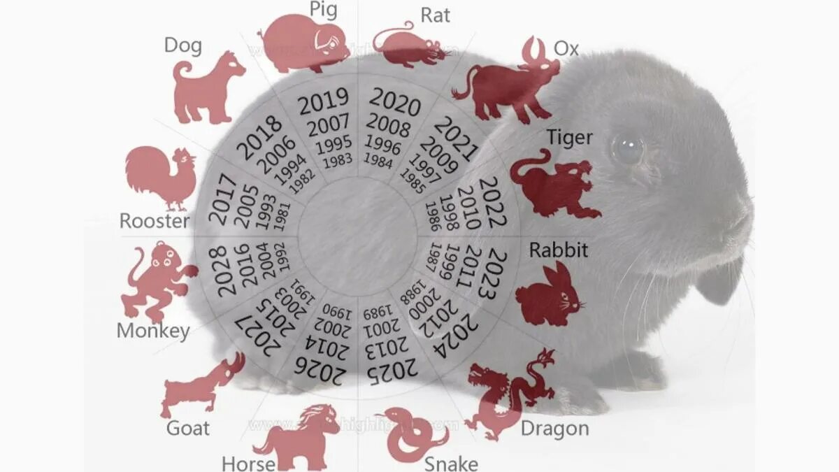 Какой 2023 год гороскопа. Годы животных. 2023 Год животное. 2023 Год по восточному календарю. Кролик китайский гороскоп.