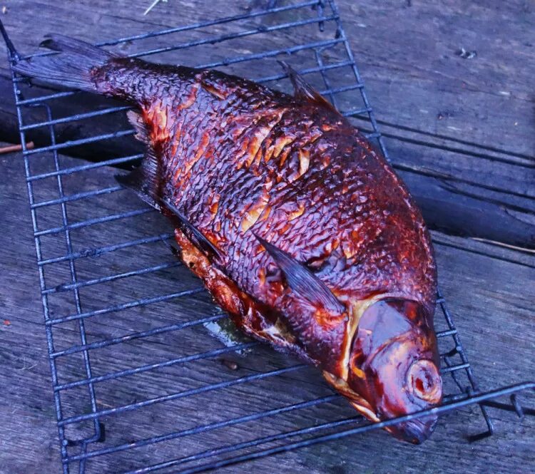 Шашлык из сазана. Сазан на углях на решетке. Шашлык из сазана. Мангал рыба. Шашлык из сазана.