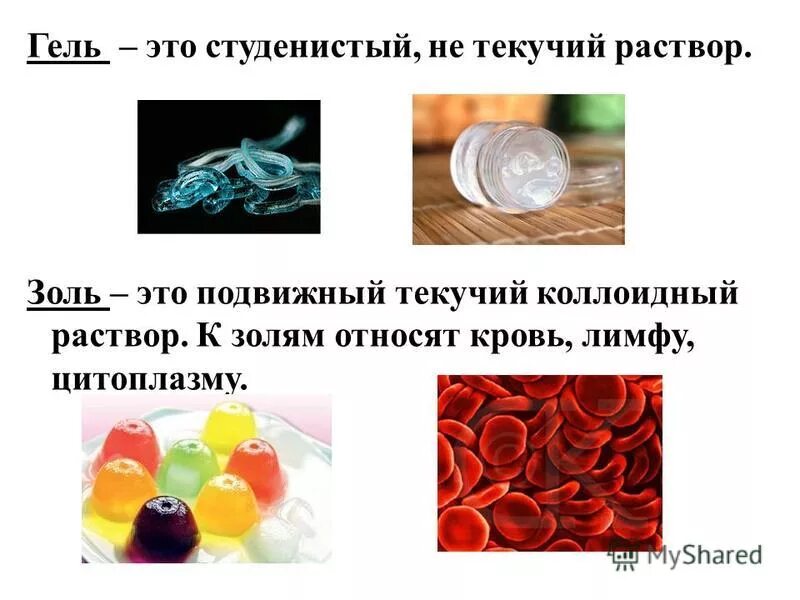 Студенистый осадок это