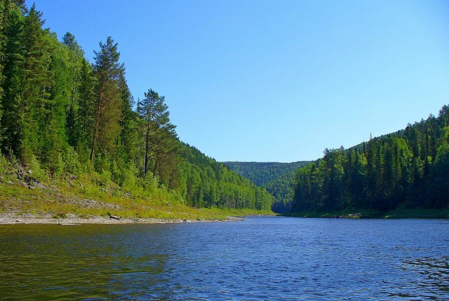 Река Ангара Красноярский край. Манзя Богучанский район природа. Природа Богучанского района. Река Каменка Красноярский.