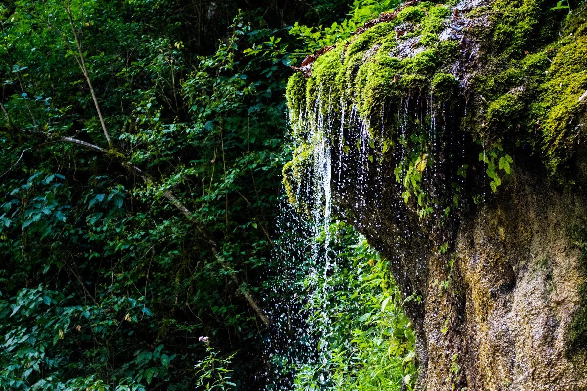 Водопад девичьи слезы абхазия. Девичьи слезы абхазии. Водопад девичьи слезы абхазия. Озеро рица водопад девичьи слезы. Водопад девичьи слезы абхазия.