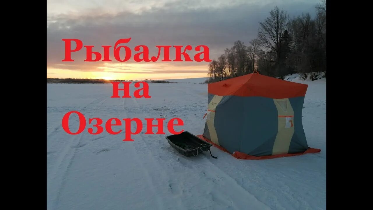 Озернинское водохранилище щука. Рыбы рузского водохранилища. Рыбалка на озерне. Река хайрюзова. Озерное водохранилище руза.