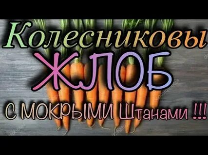 Влог колесниковы