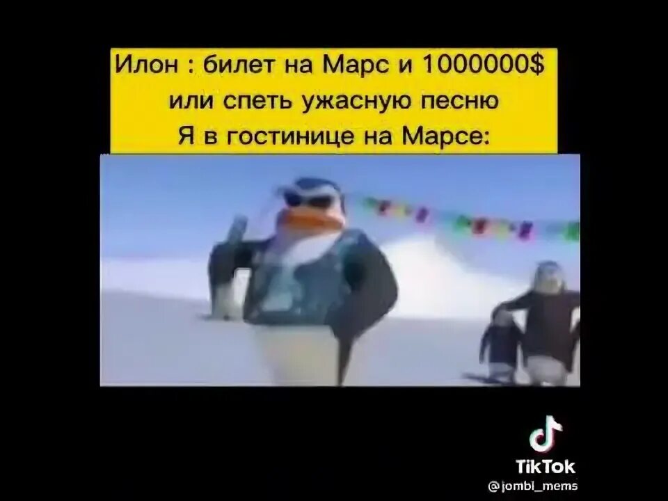 Нас никто никогда не сломает мы таджики. Пингвин таджик. Таджики стреляют в пингвинов. Разбили пингвина.