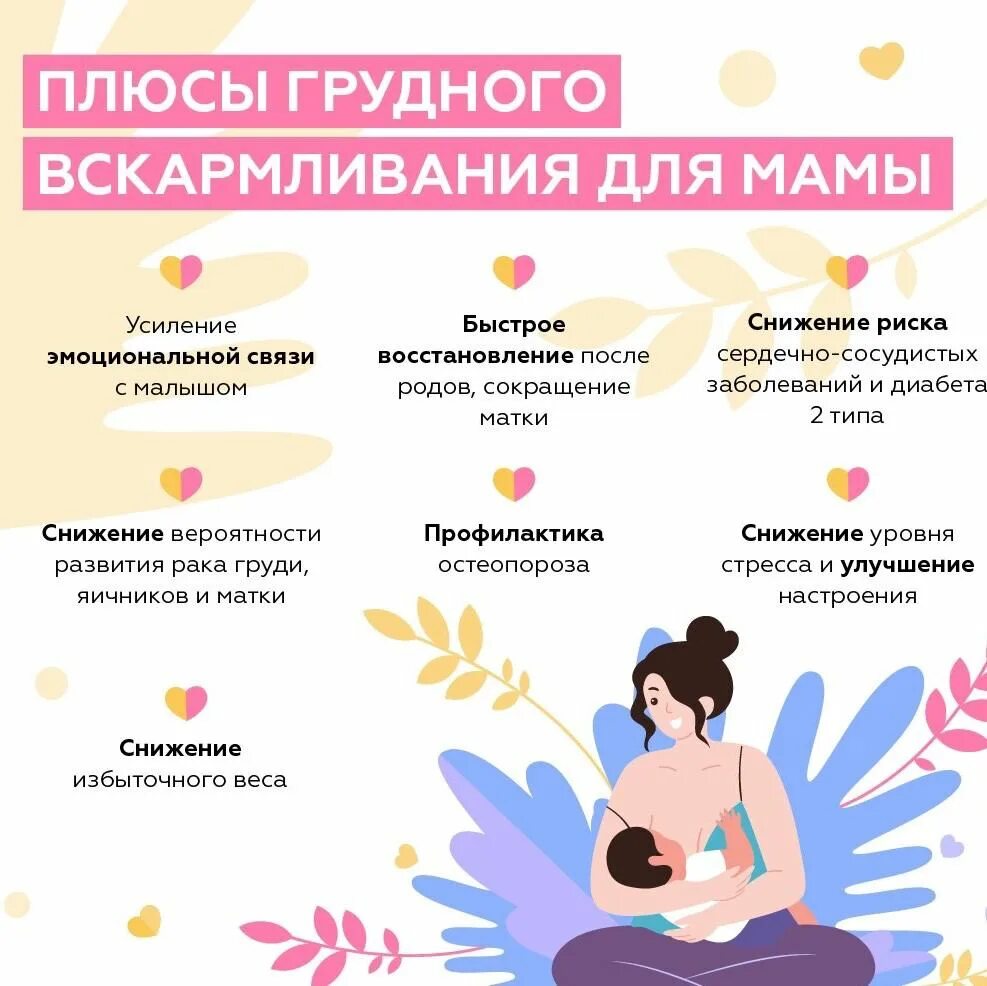 Как обновляется грудное
