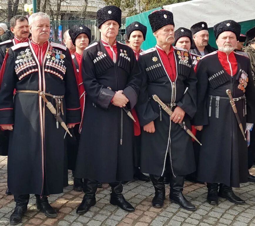 Самарские казаки. Общественные казачьи общества. Краснодар, пашковское станичное казачье общество. Атаман михайловского станичного казачьего общества. Современные казаки.