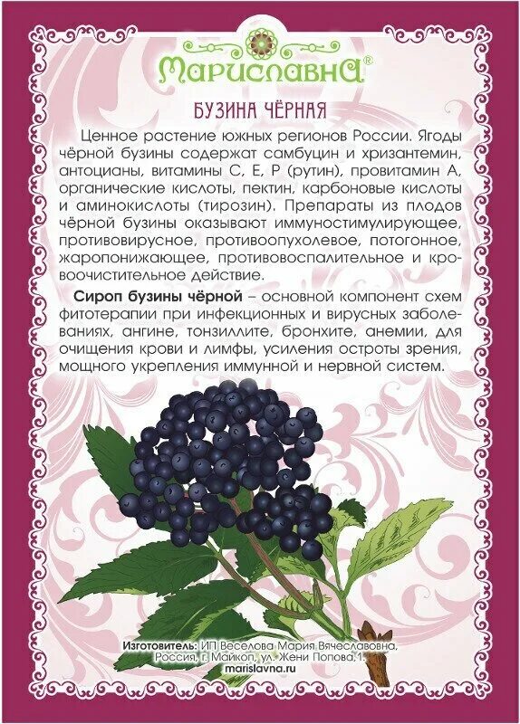 5г №20. бузина черная ф/п 1,5г №20. бузина инструкция. бузина трава в аптеке. бузина черная сырье.