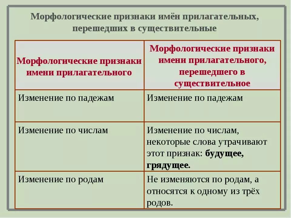 Морфологические признаки существительного и прилагательного. Морфологические признаки имя прилагаьельного. Признаки прилагательного. Морфологические признаки прилагательного. Морфологические изменения слов