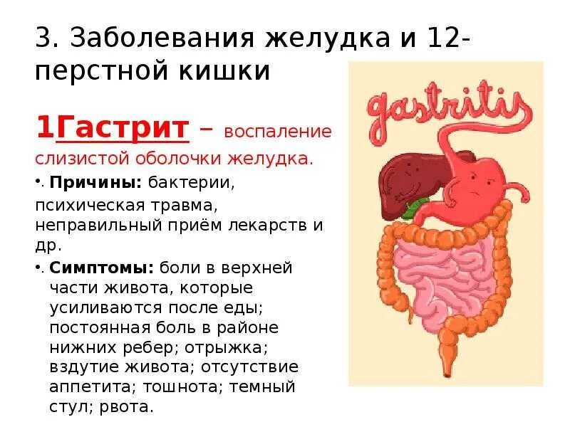 Можно ли есть кишки. Заболевания органов пищеварения. Заболевания пищеварительной системы желудка. Заболевания органов пищеварительной системы. Профилактика заболеваний пищеварительной системы.