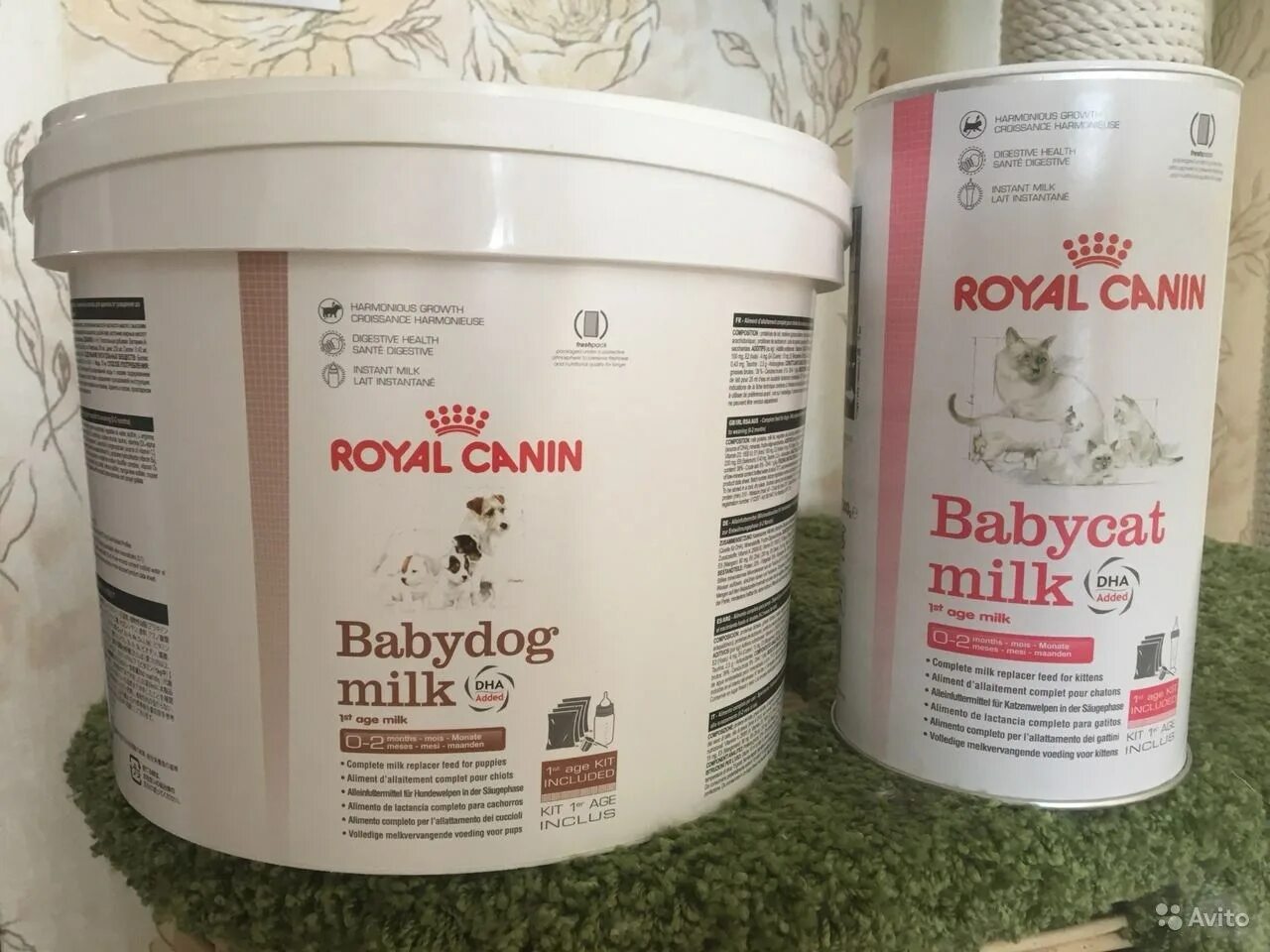 Royal canin babycat. Заменитель кошачьего молока Роял Канин. Роял Канин для котят молока. Сухое молоко Роял Канин для котят. Роял Канин молоко для котят.