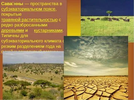 Климатические условия саванны