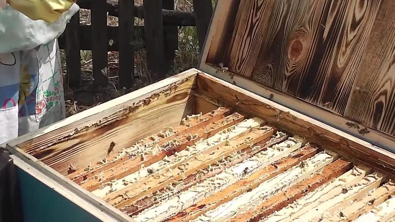 Ульи лежаки содержание