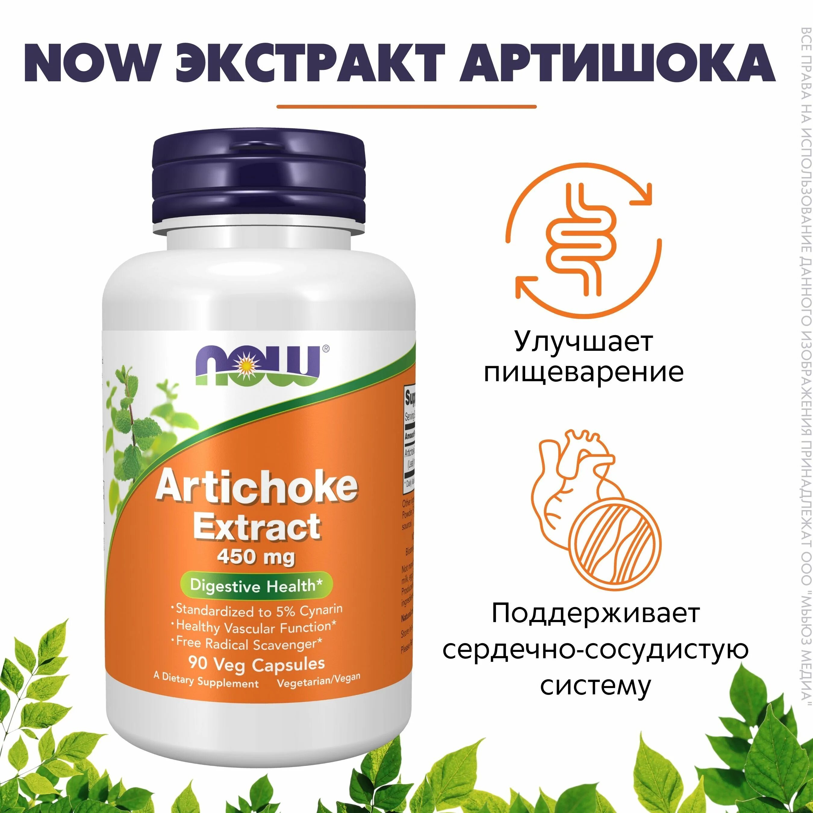 Капсулы артишока швейцария. Артишок now. Артишок now foods. Экстракт артишока капсулы. Артишок now.