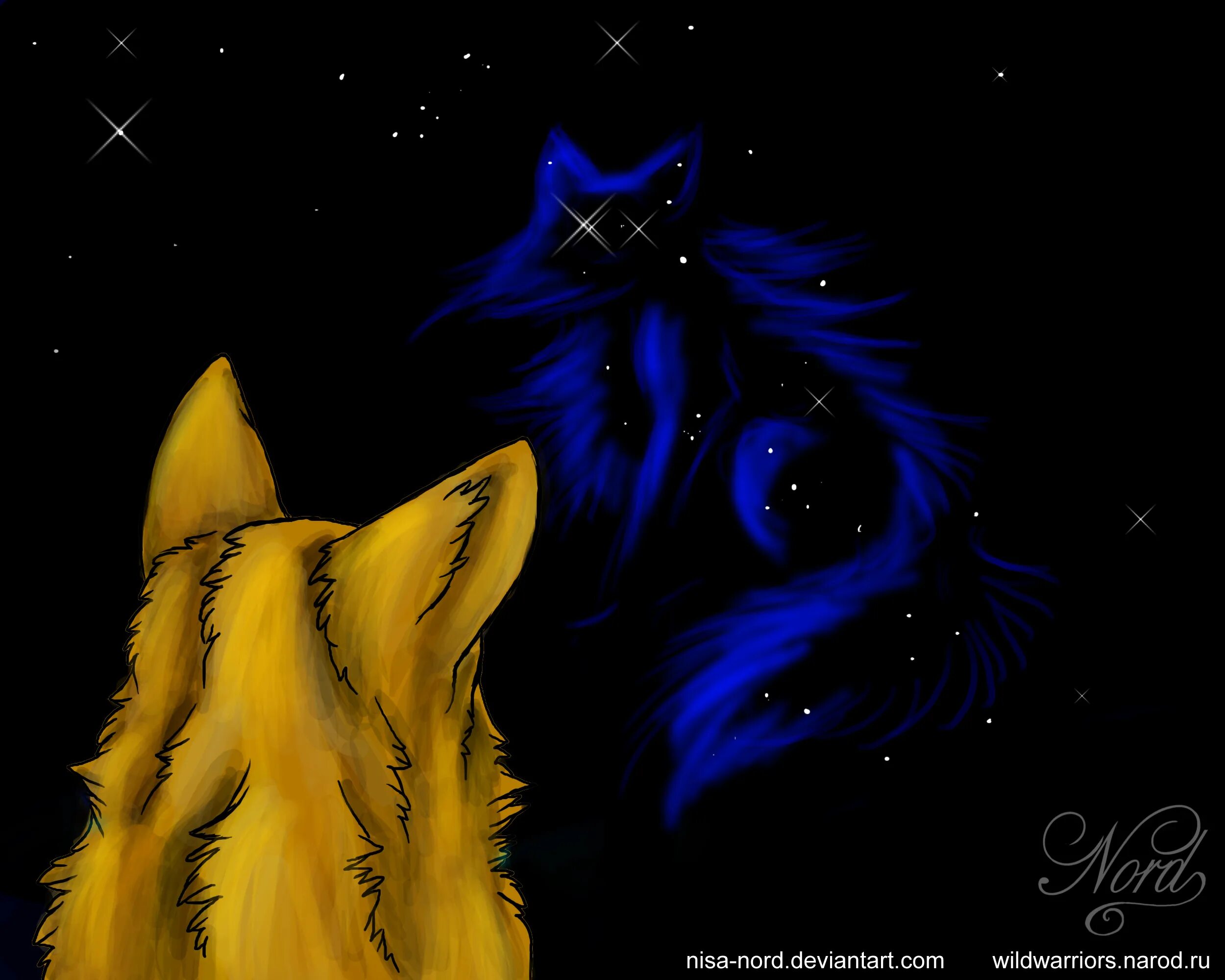 Коты воители сверкающая звезда. Коты-воители эрин хантер книга. Коты воители сверкающая звезда. Коты воители сверкающая звезда. Эрин хантер приключения ольхолапа.