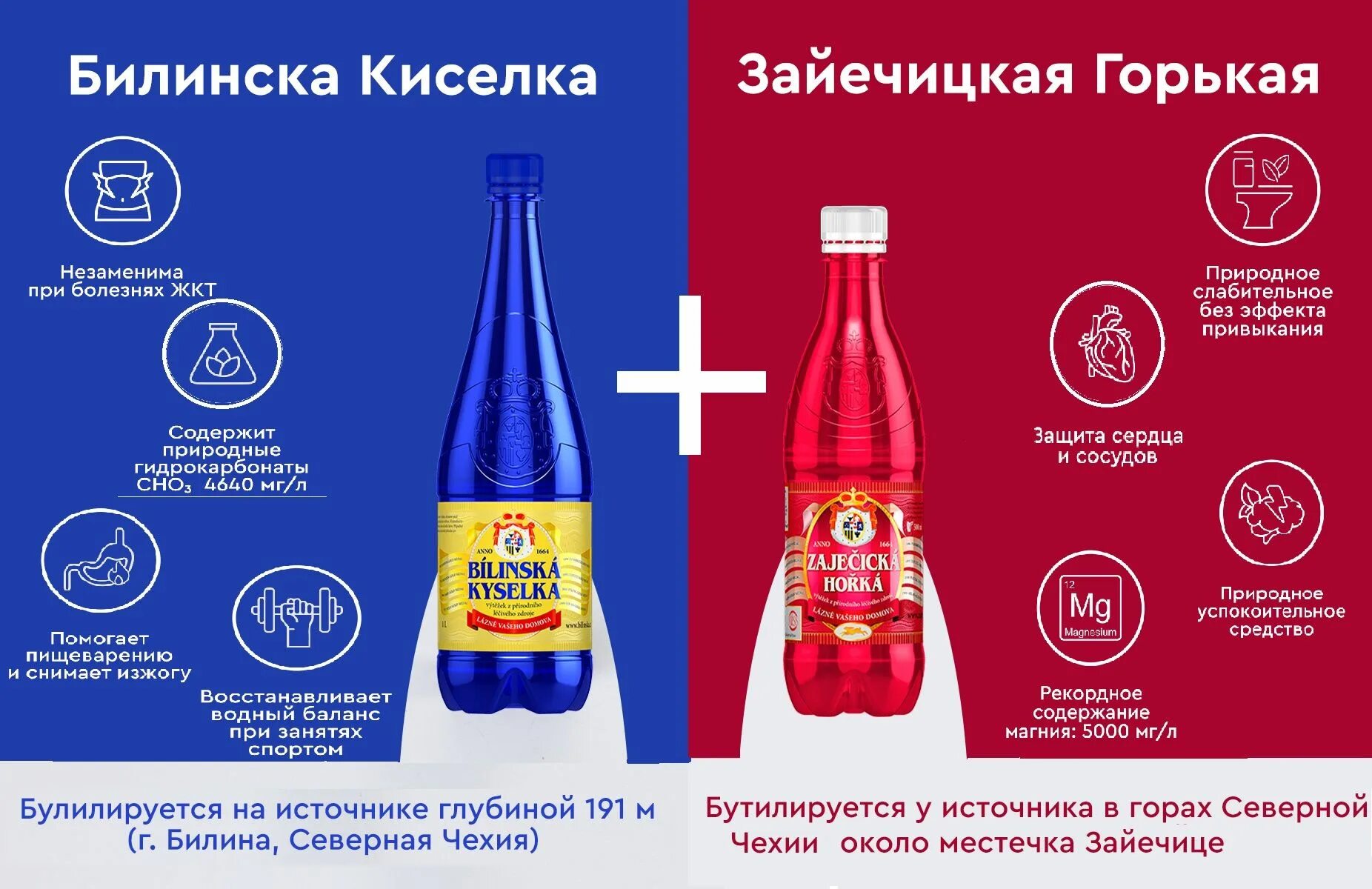 Чешская минеральная вода зайечицка горька инструкция. Вода зайечицкая горькая инструкция по применению. Минеральная вода чешская зайечицкая горькая. Зайечицкая вода аналог. Зайечицка горька вода минеральная 0,5л.