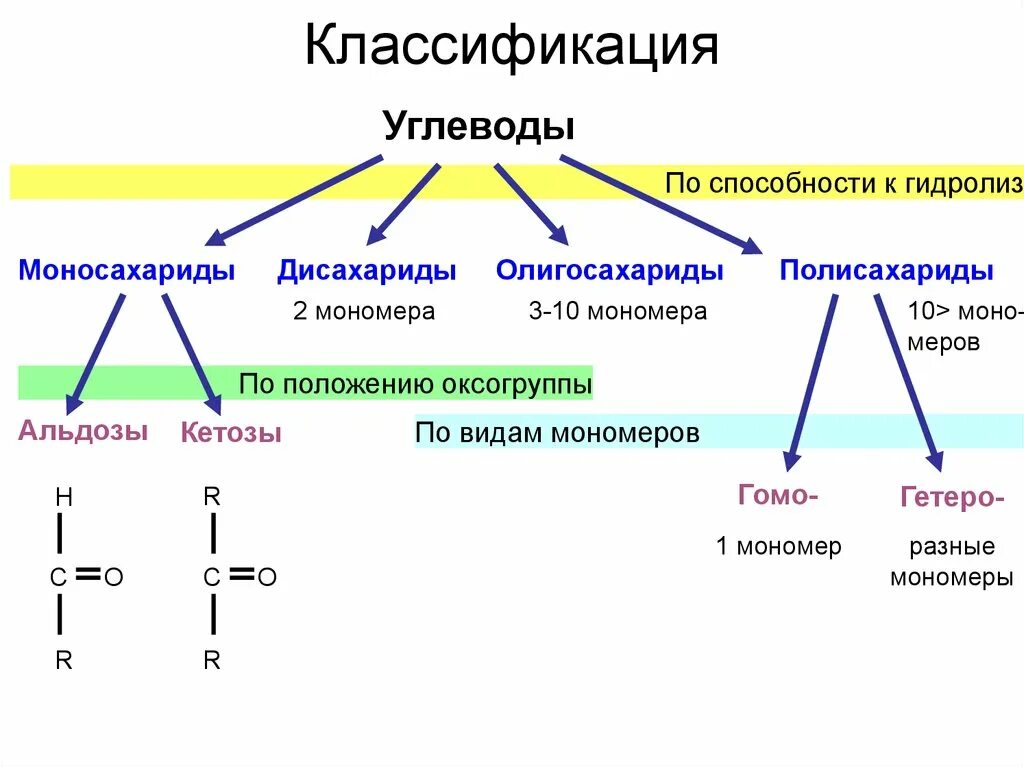 1 примеры углеводов. Классификация углеводов по способности к гидролизу. Классификация негидролизуемых углеводов. Моносахариды дисахариды полисахариды таблица строение. Строение углеводов моносахаридов дисахаридов.полисахаридов.