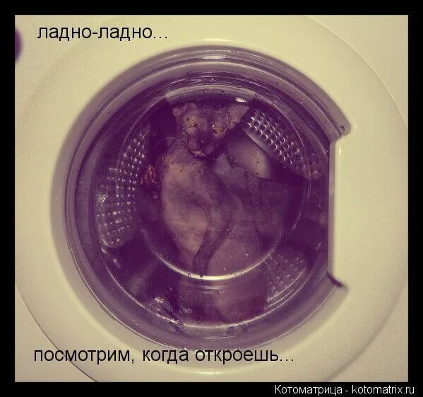 Ladno мем. Да мем. Я хочу тебе помочь. Фу боже мем. Бабки пришли.