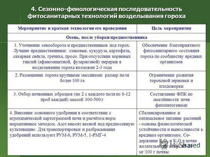 Технология гороха