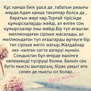 Сквирт қыздардың жыныстық чат жазбалары