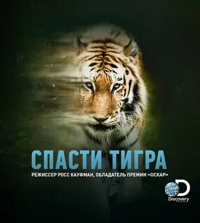 Спас тигра
