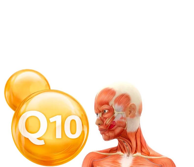 Зачем пить коэнзим. Дефицит коэнзима q10. коэнзим q10 coral club. коэнзим q10 картинки. q10 коэнзим для женщин.